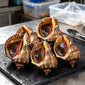 Fresh Steamed Whole Sea Snails